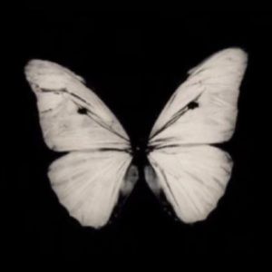 Meet your Posher, Izzy